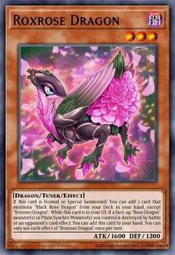 Roxrose Dragon 「EN」