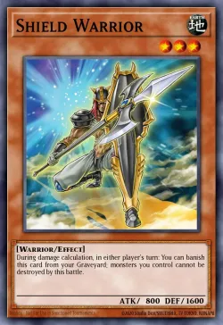 Shield Warrior 「EN」