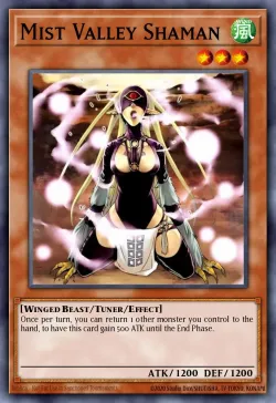 Mist Valley Shaman 「EN」