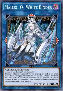 Maliss <Q> White Binder 「EN」