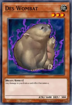 Des Wombat 「EN」