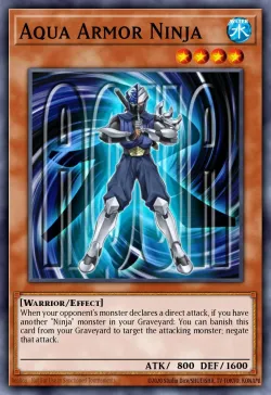 Aqua Armor Ninja 「EN」