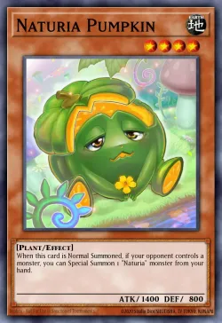 Naturia Pumpkin 「EN」