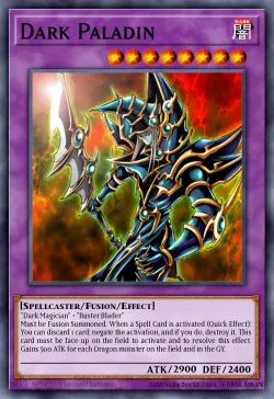Dark Paladin 「EN」