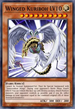 Winged Kuriboh LV10 「EN」
