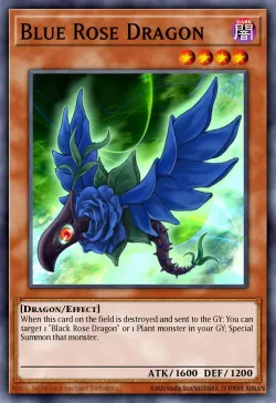 Blue Rose Dragon 「EN」