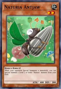 Naturia Antjaw 「EN」