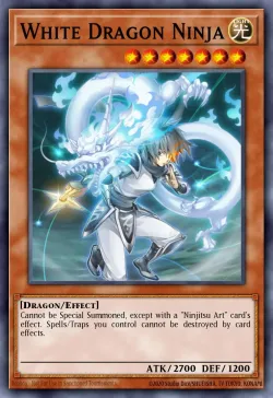 White Dragon Ninja 「EN」