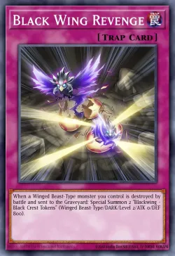 Black Wing Revenge 「EN」
